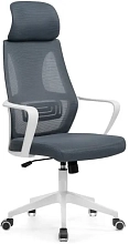 Кресло компьютерное Golem dark gray / white